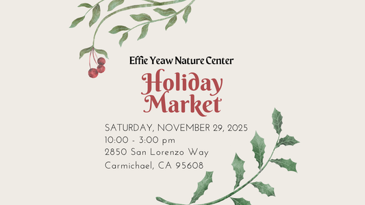 Holiday Market - Effie Yeaw Nature Center