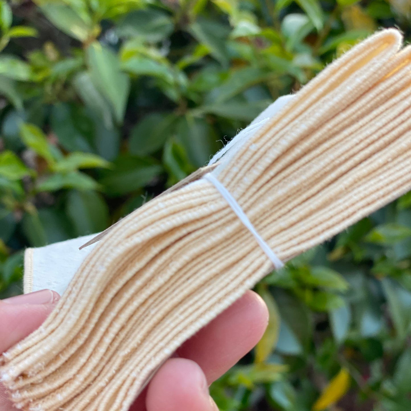 Everyday Cotton Cloth Napkins | Neutrals